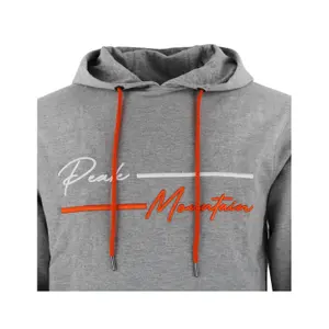 Sweatshirt coton Peak Mountain French Terry image-3