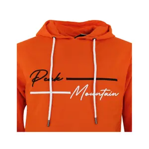 Felpa Peak Mountain French Terry image-3