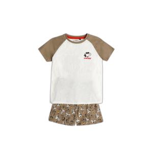 product/p/e/peanuts_62025-0-000350_blanc-marron_1.jpg