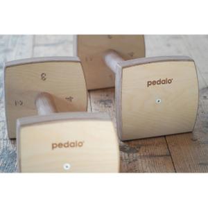 4-level pump handle Pedalo image-4