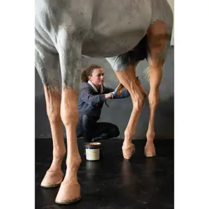 Tonerde für Pferde Pénélope Pénélope X Terra Clay image-4