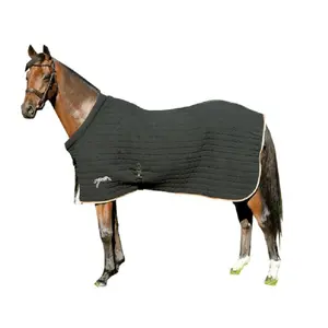 Paardenhemd Pénélope bambou dry image-0