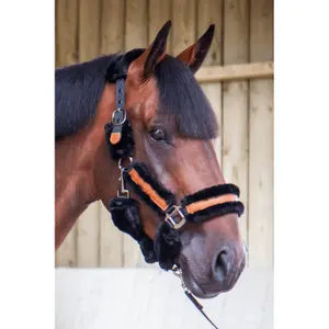 Licol pour cheval Pénélope Soft image-1