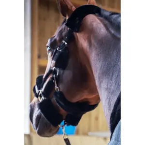 Licol pour cheval Pénélope Soft image-2