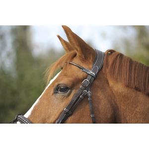 product/p/e/penelope-leprevost_9000.jpg