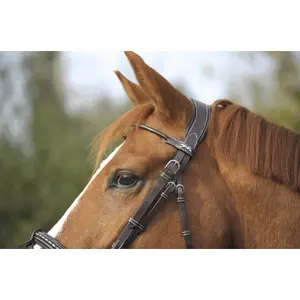 Bridons équitation point sellier Pénélope image-2