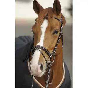 Bridons équitation point sellier Pénélope image-1