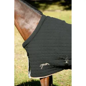 Paardenhemd Pénélope bambou dry image-1