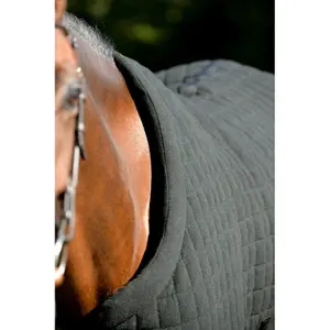 Paardenhemd Pénélope bambou dry image-3