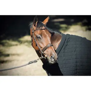 Paardenhemd Pénélope bambou dry image-4