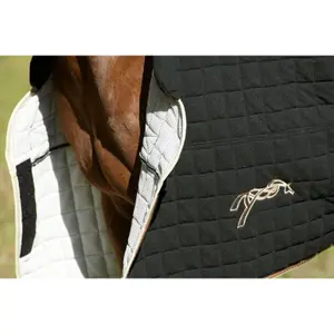 Paardenhemd Pénélope bambou dry image-5