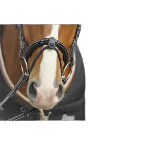 Bridons équitation point sellier Pénélope image-5