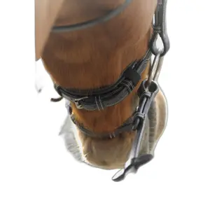 Bridons équitation point sellier Pénélope image-4