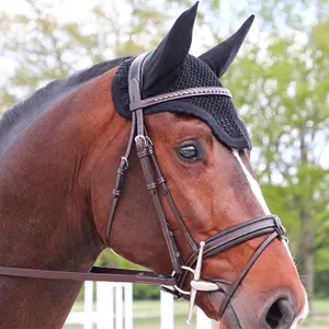 Cabeçotes de cavalo Pénélope Daily image-0
