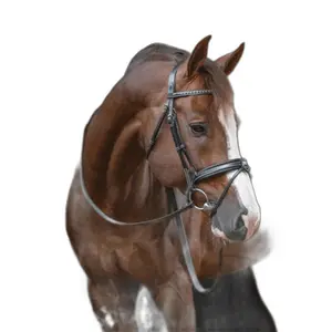 301602202-trans-for-ridning-penelope-daily-svart