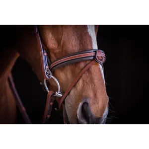 Hoofdstellen Pénélope US image-6