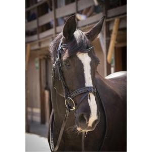 301604202-riding-bridles-penelope-smoothie-black
