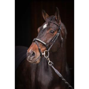 301612202-riding-bridle-penelope-symphonie-black