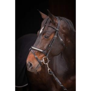 Ridträns Pénélope Symphonie image-1