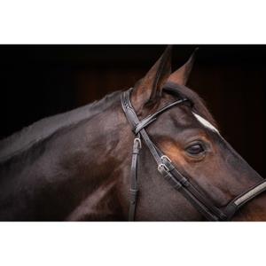 product/p/e/penelope_301612202_noir_4.jpg
