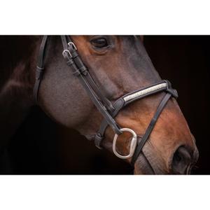 product/p/e/penelope_301612202_noir_5.jpg