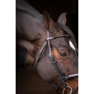 Ridträns Pénélope Symphonie image-5