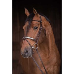 301612218-riding-bridle-penelope-symphonie-brown