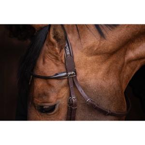 product/p/e/penelope_301612218_marron_6.jpg