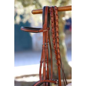 301636317-horse-reins-penelope-us-hazelnut-horse