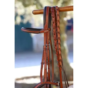 301636317-ett-par-tyglar-for-hastar-penelope-us-hasselnot-hast