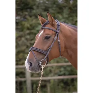 301605318-trans-for-ridning-penelope-elegance-havanna