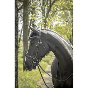 Bridon équitation Pénélope Harmonie image-1