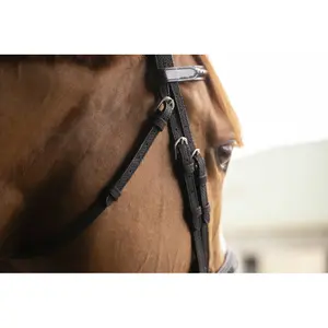 301608202-trans-for-ridning-penelope-oxford-svart