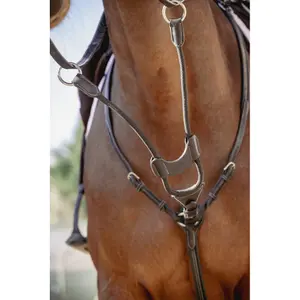 Eixo elástico do martingale Pénélope Bip Light US image-2