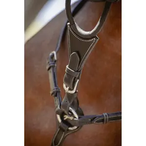 Eixo elástico do martingale Pénélope Bip Light US image-0