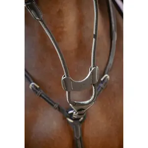 Eixo elástico do martingale Pénélope Bip Light US image-3