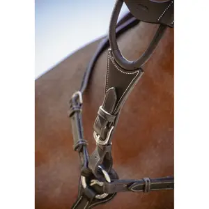 Eixo elástico do martingale Pénélope Bip Light US image-1