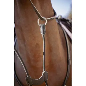 Eixo elástico do martingale Pénélope Bip Light US image-5