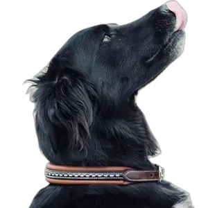Dog collar Pénélope Point Sellier image-1