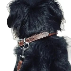 Dog collar Pénélope Point Sellier image-2