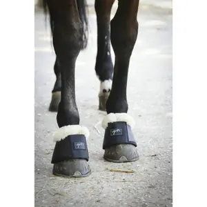 Bell Boots Pénélope Confort image-3