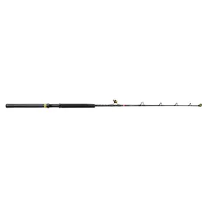 Cane boat Penn Squall II Roller 60-130lb