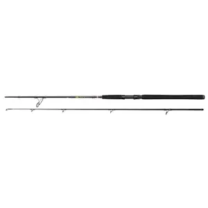 Canne spinning Penn Wrath II 80-150 g image-0