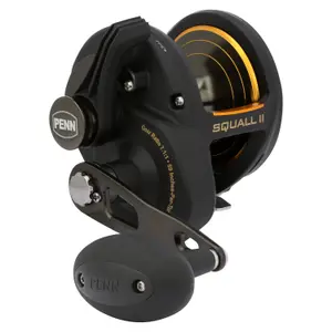 Sea casting reel Penn SQLII40NLDHS Squall II