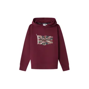 Hoodie Kinder Pepe Jeans Union Jack image-0