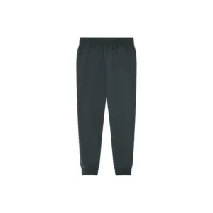 Kids' joggers Pepe Jeans Nolan image-1