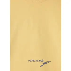 Sweatshirt child Pepe Jeans Falcon image-2