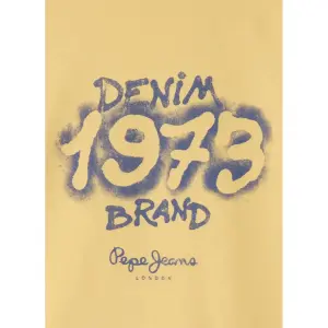 Sweatshirt child Pepe Jeans Falcon image-3