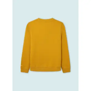 Sweatshirt child Pepe Jeans Jameson image-1