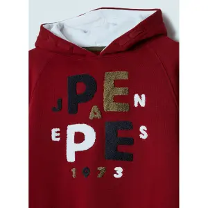 Child hoodie Pepe Jeans Jason image-2